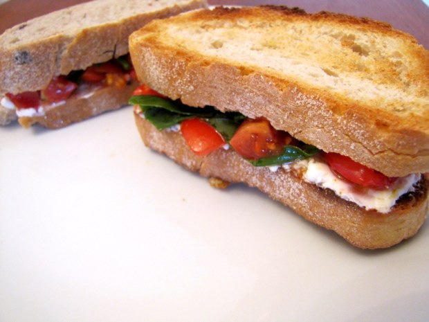 Tomato and Cream Cheese Panini